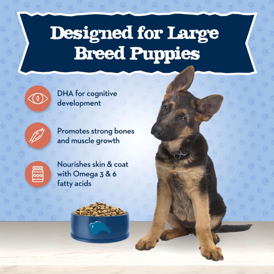 Baby BLUE Büyük Irk Yavru Köpe - Dry Food Baby incelemesi ve fiyatı